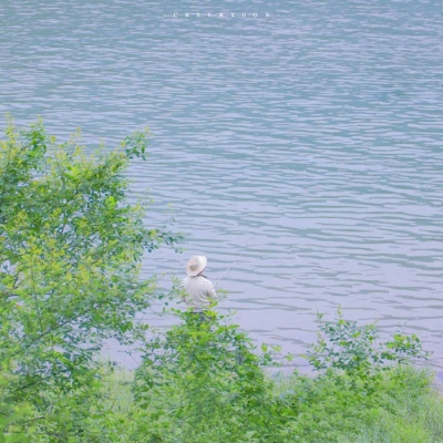 阳高福瑞交流群